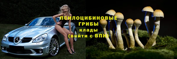 молекула духа Елизово