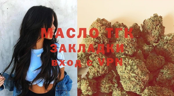 молекула духа Елизово