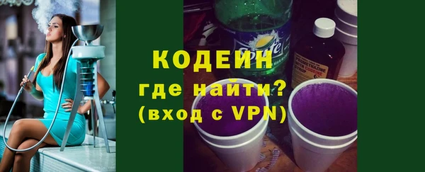 молекула духа Елизово