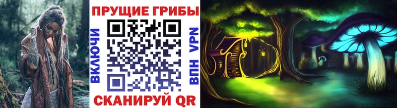 Псилоцибиновые грибы мицелий  Купить  Шагонар 